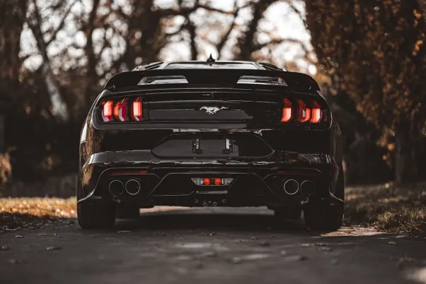 Winning Casino App Android/iOS